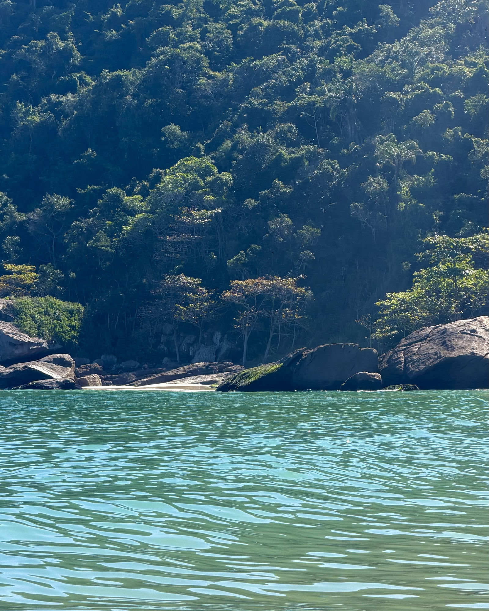 Praia de águas cristalinas cercada por mata atlântica